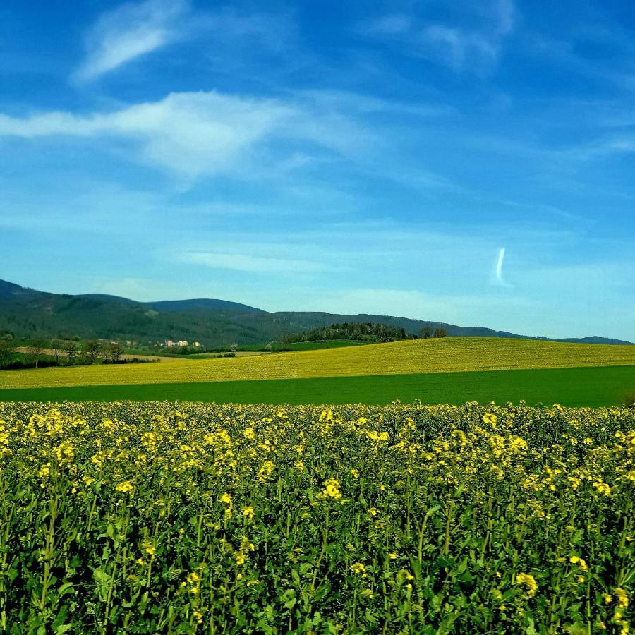 Agroturystyka Sielska Kraina Зомбковіце-Шльонскє Екстер'єр фото